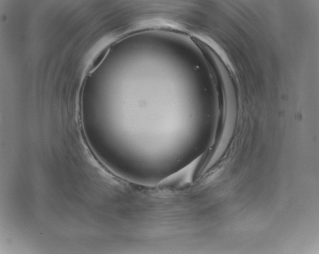 X0000076270815200610051309