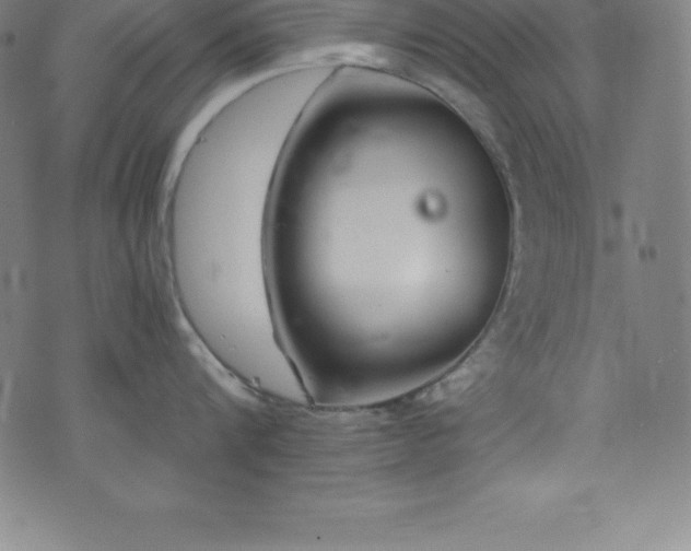 X0000076270816200610051309