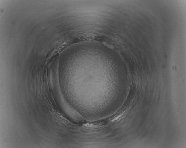 X0000076270818200610051308