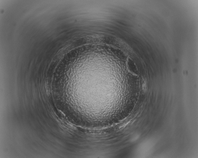 X0000076270819200610051308