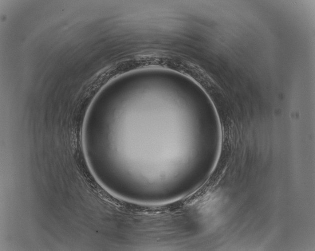 X0000076270821200610051308