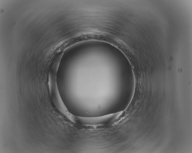 X0000076270822200610051308