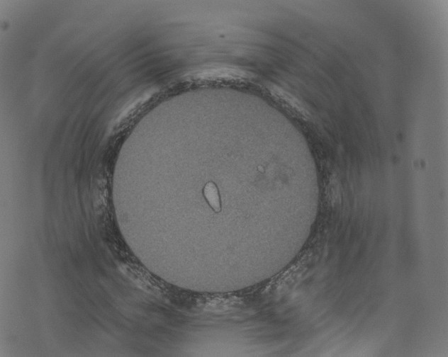 X0000076270824200610051308