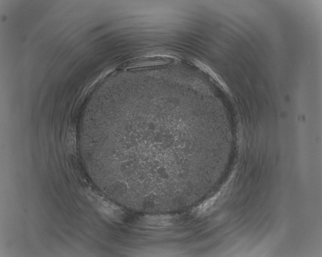 X0000076270825200610051308