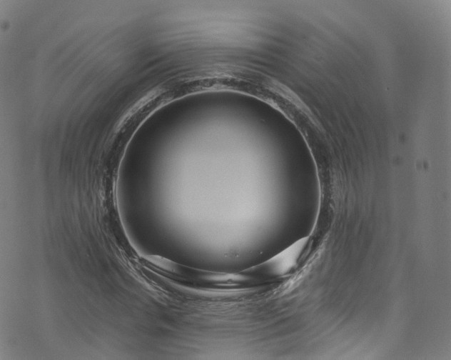 X0000076270826200610051308