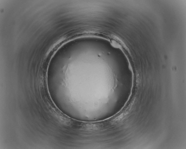 X0000076270827200610051308