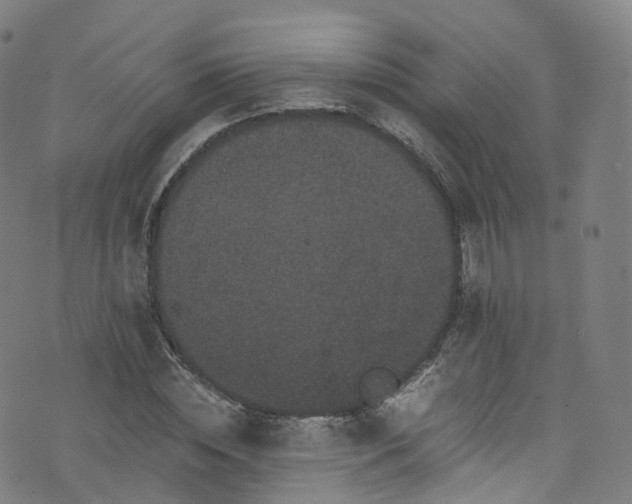 X0000076270828200610051308