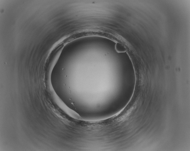 X0000076270830200610051308