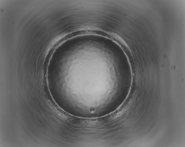 X0000076270831200610051308