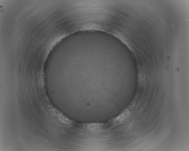 X0000076270832200610051308