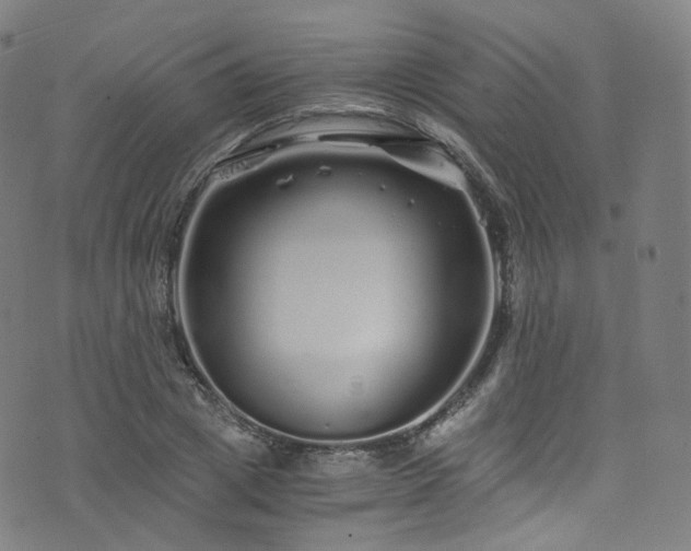 X0000076270833200610051308