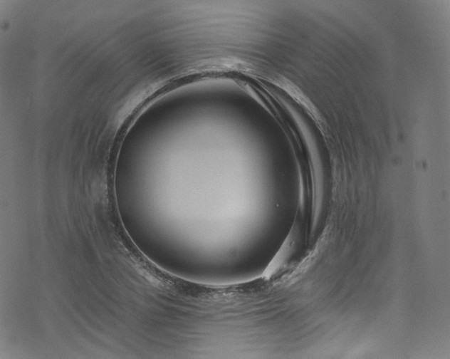 X0000076270834200610051308