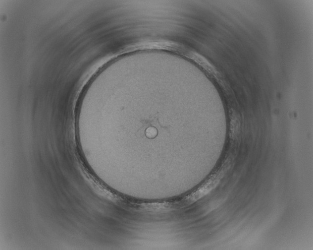 X0000076270836200610051308