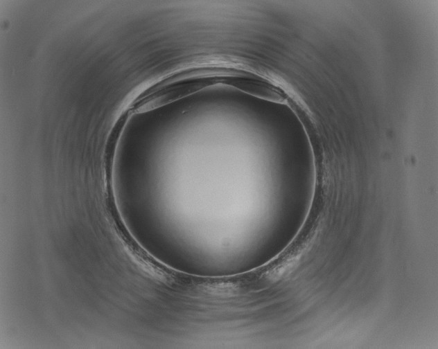 X0000076270837200610051308