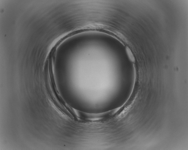 X0000076270838200610051308