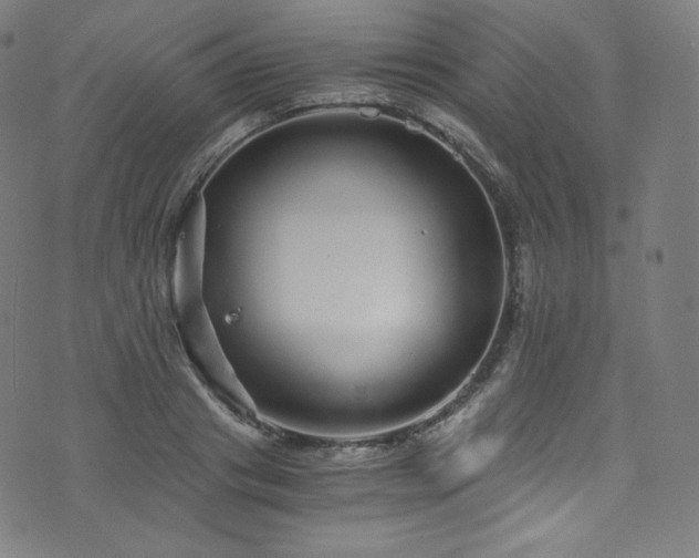 X0000076270841200610051308