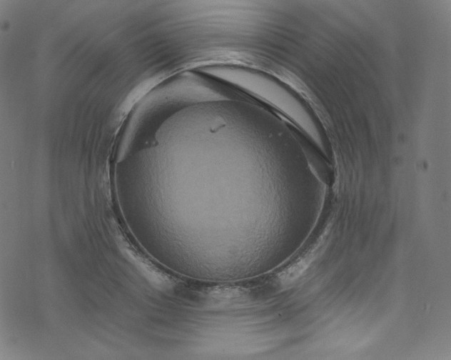 X0000076270842200610051309