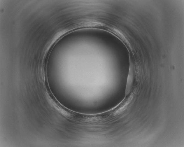 X0000076270843200610051309