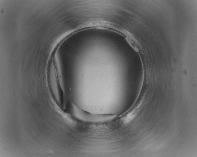 X0000076270846200610051309