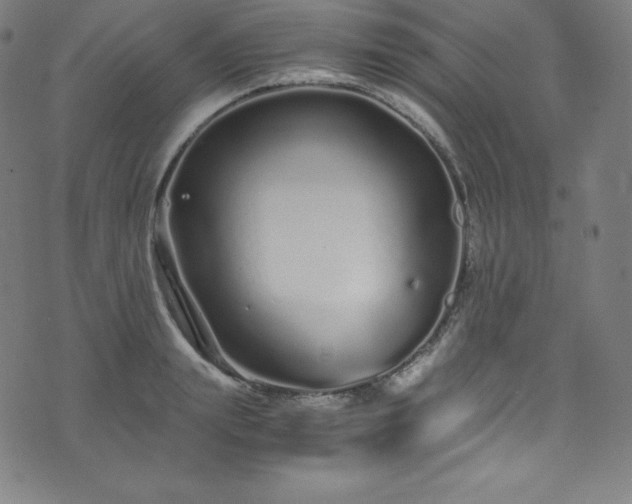 X0000076270847200610051309