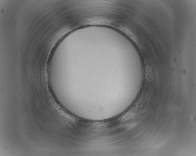 X0000076270848200610051309