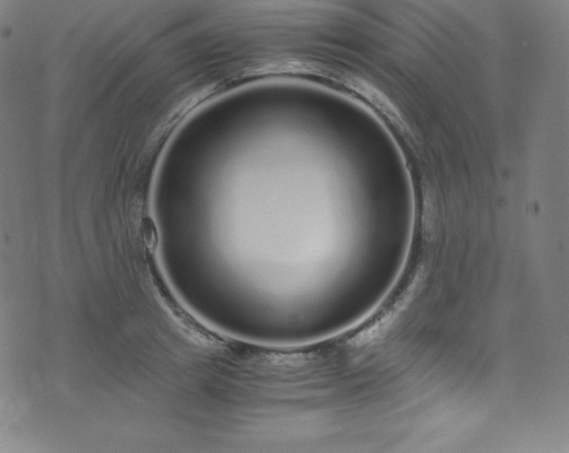 X0000076270849200610051309