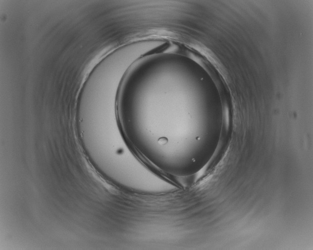 X0000076270850200610051309