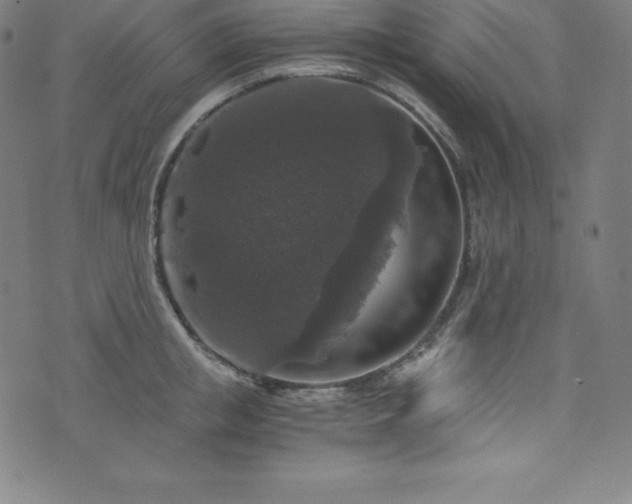 X0000076270853200610051309