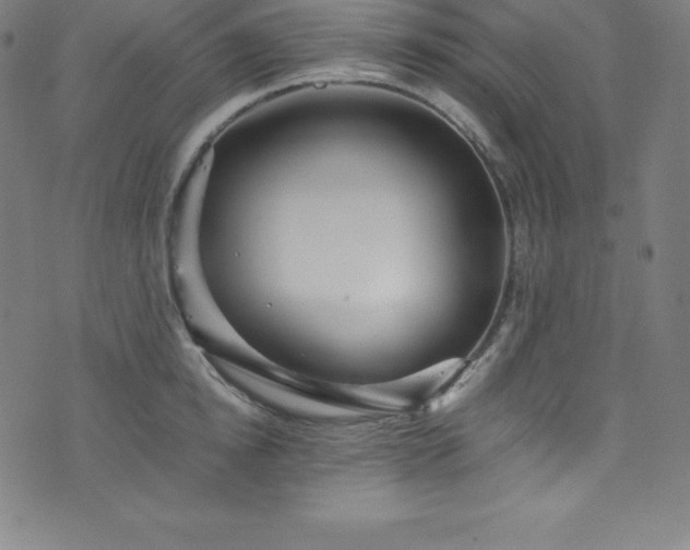 X0000076270854200610051309