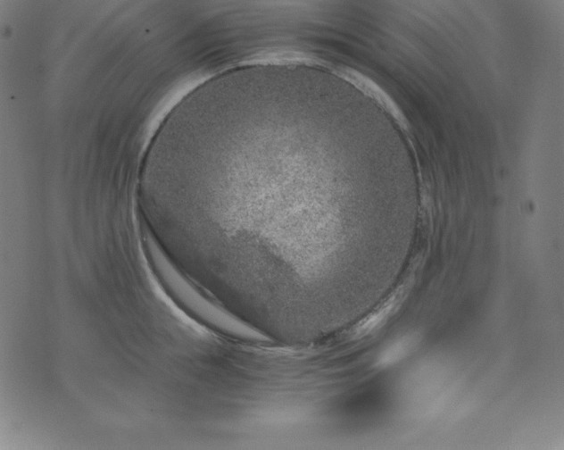 X0000076270855200610051309