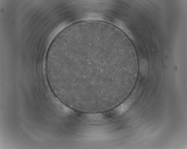 X0000076270856200610051309