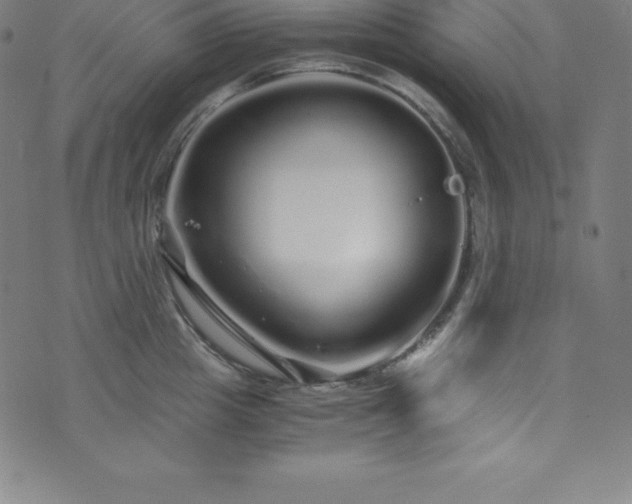 X0000076270857200610051309