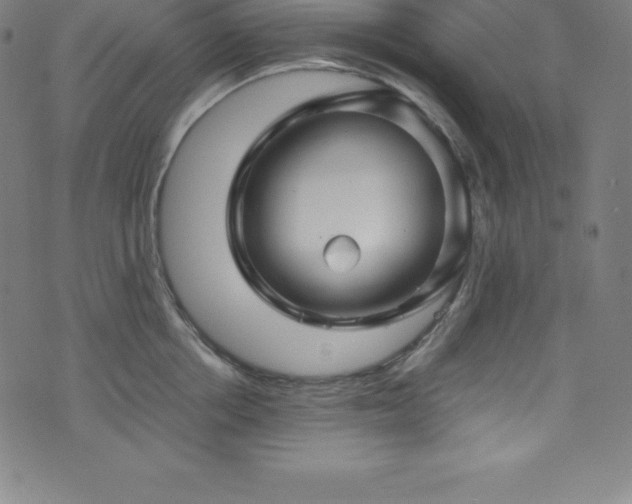 X0000076270858200610051309