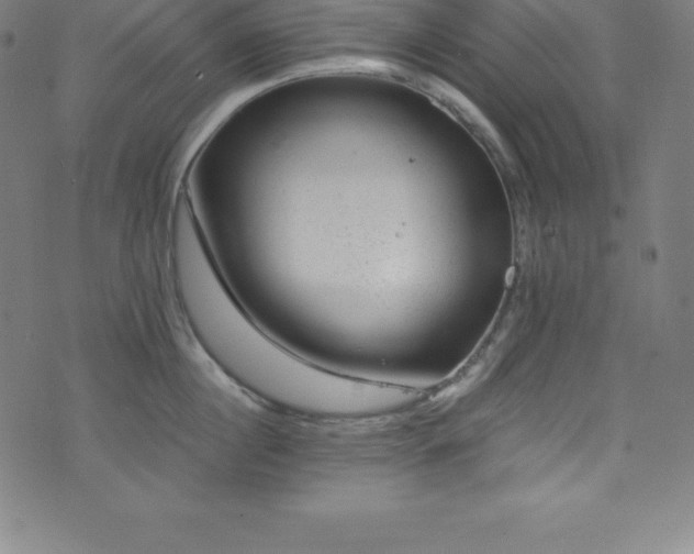 X0000076270860200610051309