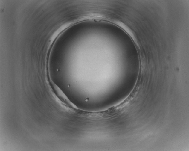 X0000076270861200610051309