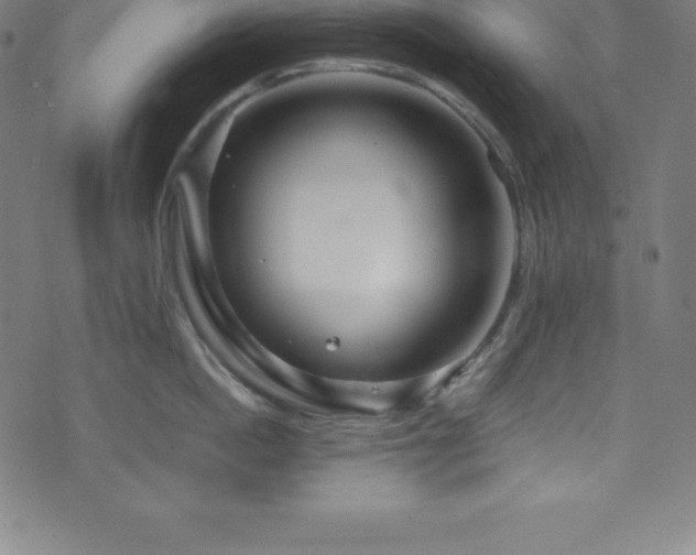 X0000076270862200610051309