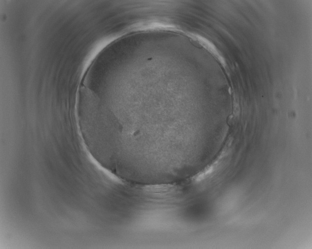 X0000076270863200610051309