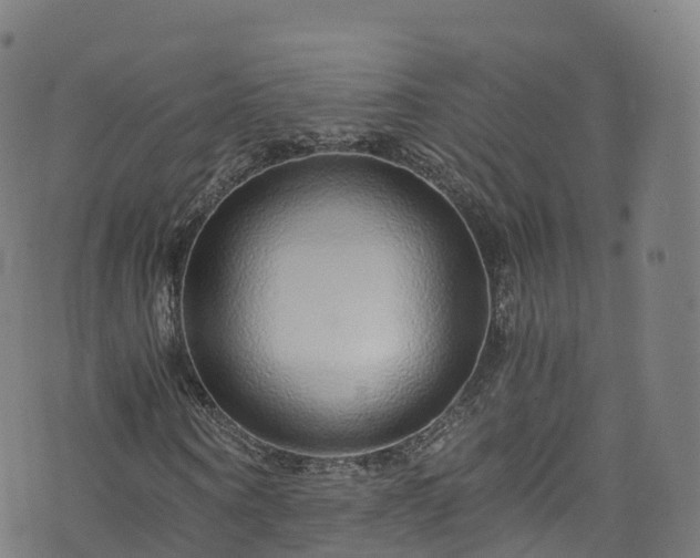 X0000076270866200610051308