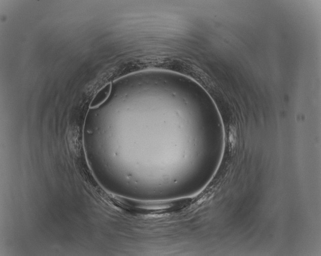 X0000076270867200610051308