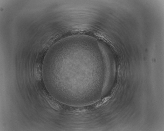 X0000076270868200610051308