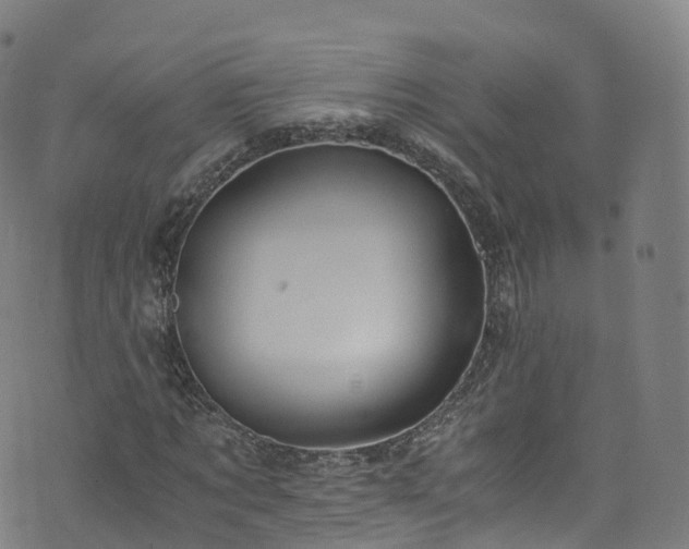 X0000076270869200610051308