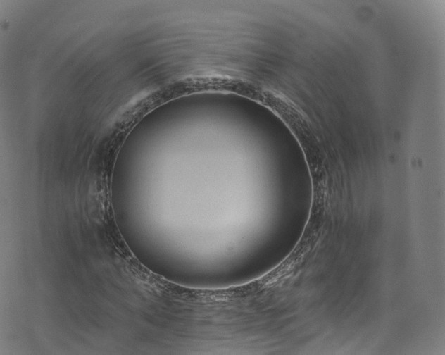 X0000076270870200610051308