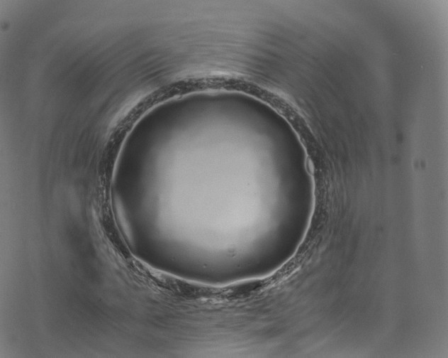 X0000076270871200610051308