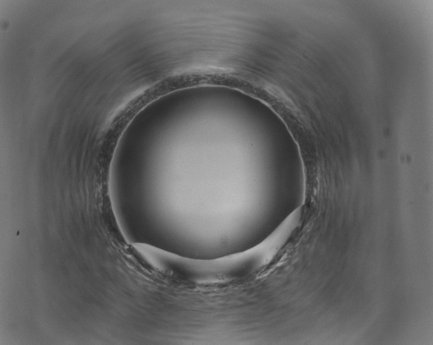 X0000076270872200610051308