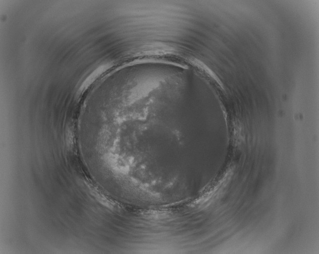 X0000076270874200610051308