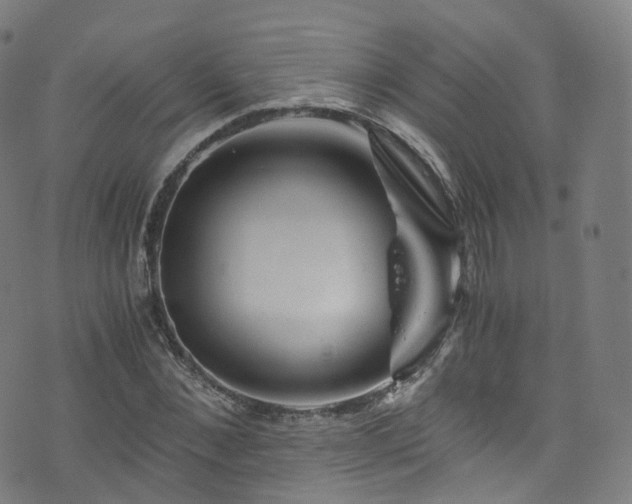 X0000076270876200610051308