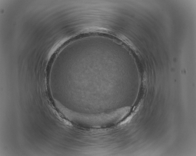 X0000076270877200610051308