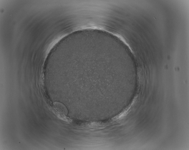 X0000076270879200610051308