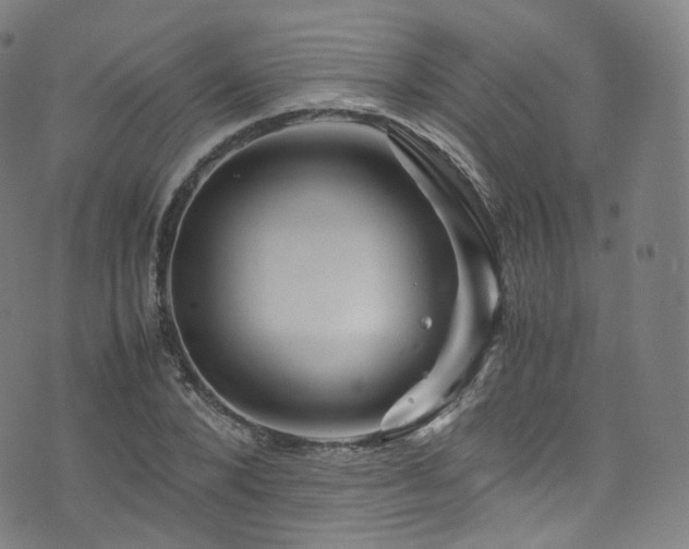 X0000076270880200610051308