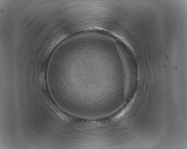 X0000076270881200610051308